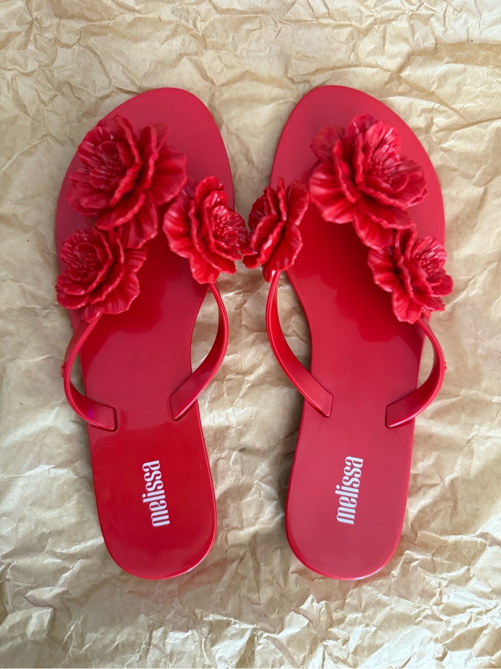 Melissa Harmonic Springtime Floral Jelly Flats - Women's